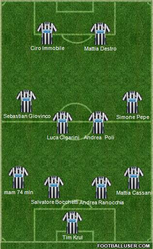 Newcastle United Formation 2014