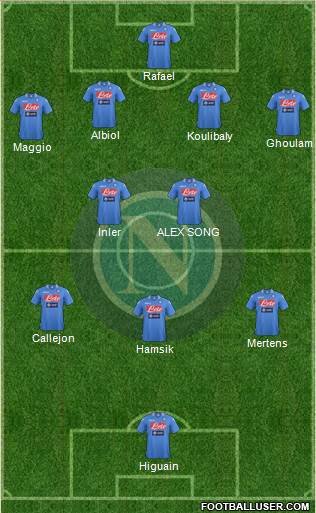 Napoli Formation 2014