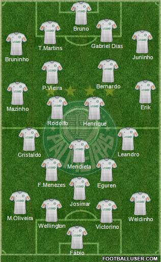 SE Palmeiras Formation 2014