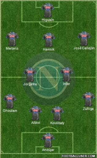 Napoli Formation 2014