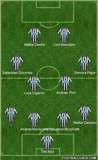 Newcastle United Formation 2014