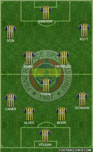 Fenerbahçe SK Formation 2014