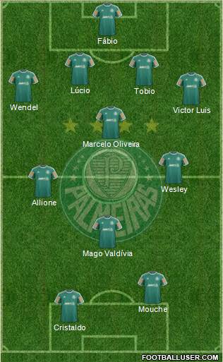 SE Palmeiras Formation 2014