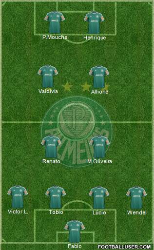 SE Palmeiras Formation 2014