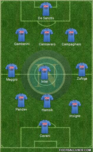 Napoli Formation 2014
