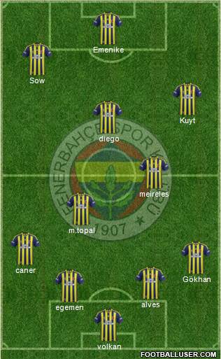 Fenerbahçe SK Formation 2014