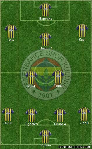 Fenerbahçe SK Formation 2014