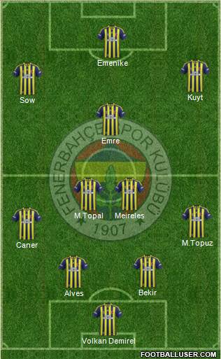 Fenerbahçe SK Formation 2014
