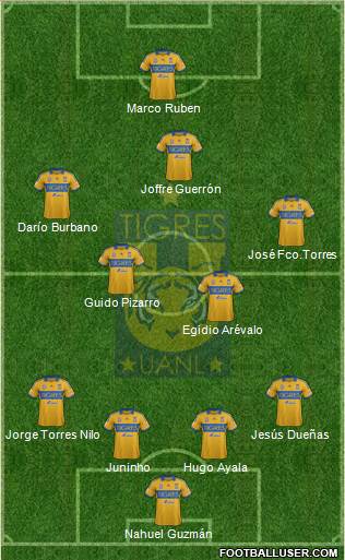 Club Universitario de Nuevo León Formation 2014