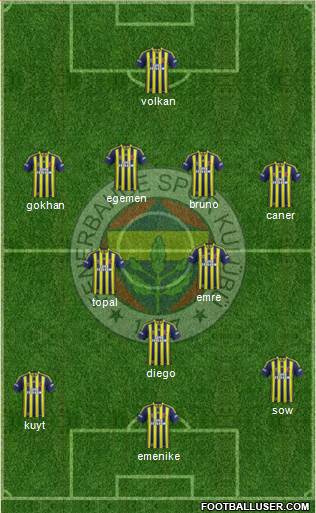 Fenerbahçe SK Formation 2014