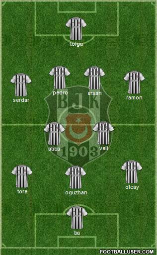 Besiktas JK Formation 2014
