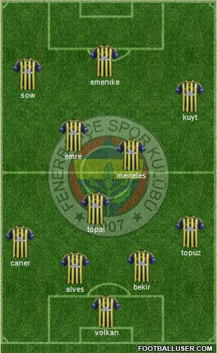 Fenerbahçe SK Formation 2014