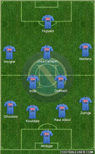 Napoli Formation 2014