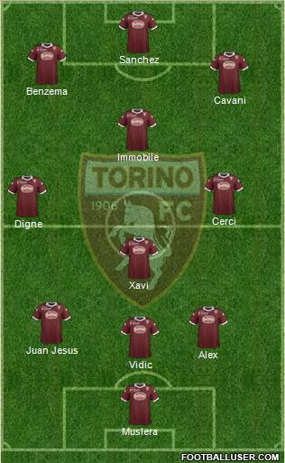 Torino Formation 2014