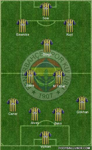 Fenerbahçe SK Formation 2014