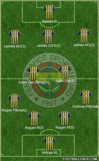 Fenerbahçe SK Formation 2014
