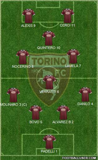 Torino Formation 2014