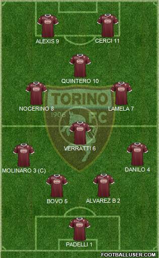 Torino Formation 2014