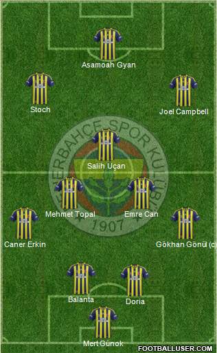 Fenerbahçe SK Formation 2014