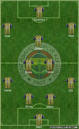Fenerbahçe SK Formation 2014