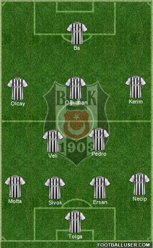 Besiktas JK Formation 2014