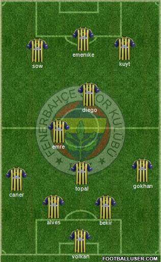 Fenerbahçe SK Formation 2014