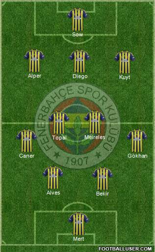 Fenerbahçe SK Formation 2014