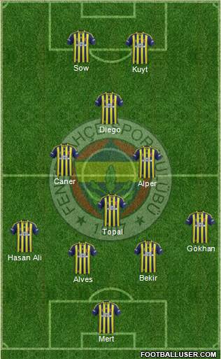 Fenerbahçe SK Formation 2014