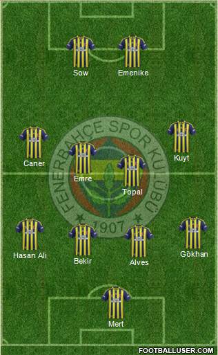 Fenerbahçe SK Formation 2014