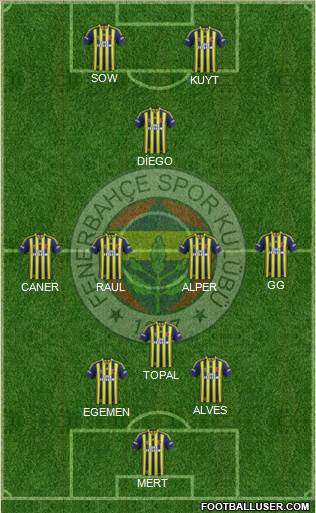 Fenerbahçe SK Formation 2014