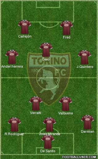 Torino Formation 2014