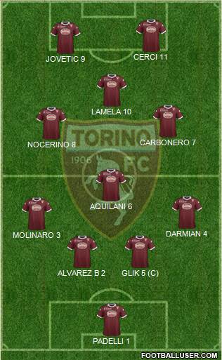 Torino Formation 2014