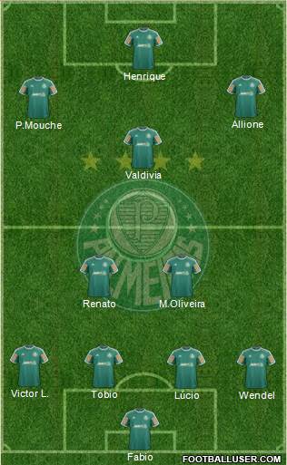 SE Palmeiras Formation 2014