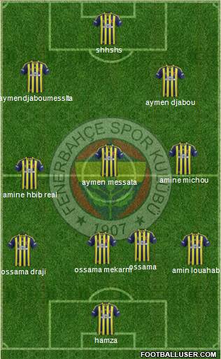 Fenerbahçe SK Formation 2014