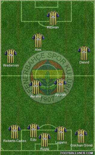 Fenerbahçe SK Formation 2014