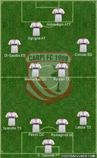 Carpi Formation 2014