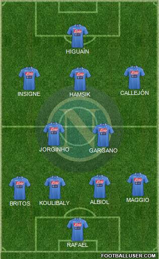 Napoli Formation 2014