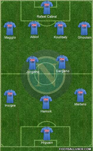 Napoli Formation 2014
