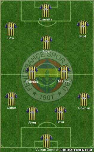 Fenerbahçe SK Formation 2014