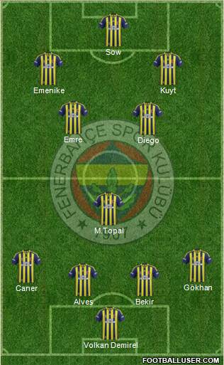Fenerbahçe SK Formation 2014