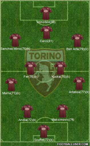 Torino Formation 2014