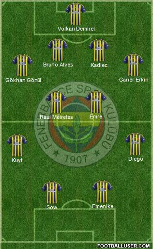 Fenerbahçe SK Formation 2014