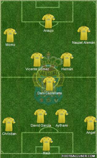 U.D. Las Palmas S.A.D. Formation 2014
