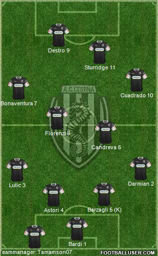 Cesena Formation 2014