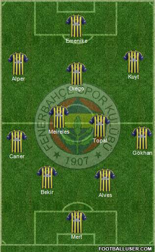 Fenerbahçe SK Formation 2014