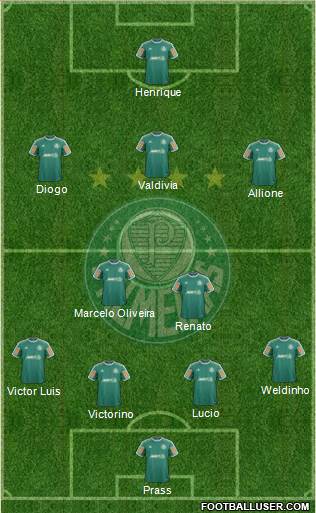 SE Palmeiras Formation 2014