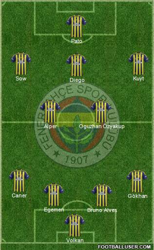 Fenerbahçe SK Formation 2014