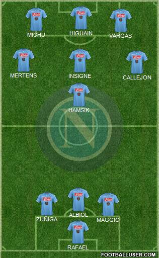 Napoli Formation 2014