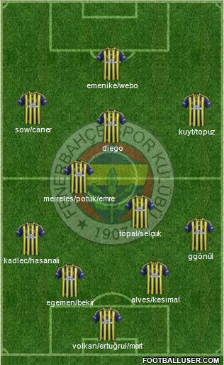 Fenerbahçe SK Formation 2014