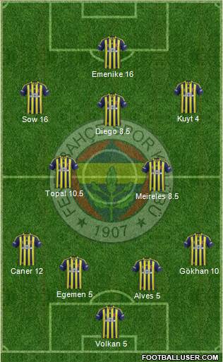 Fenerbahçe SK Formation 2014